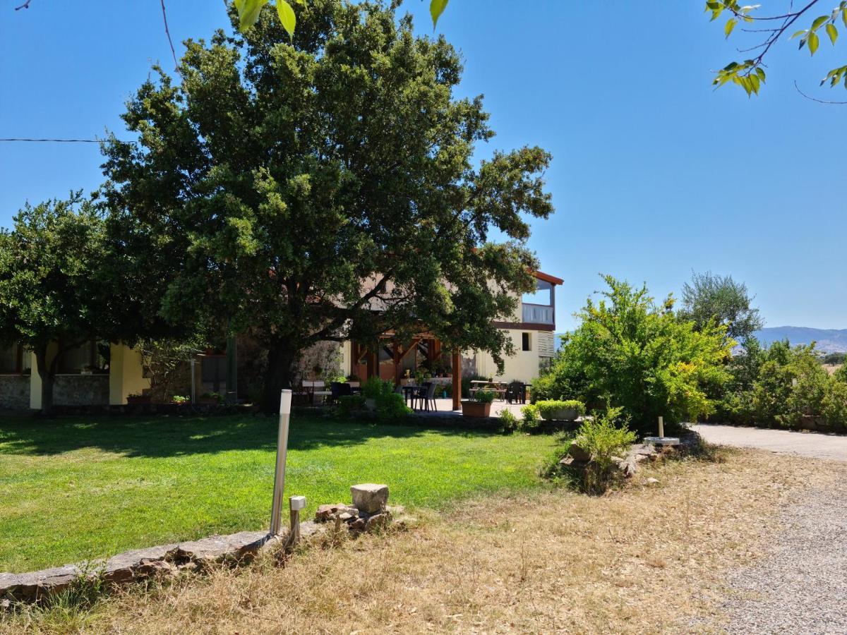 Agriturismo Sa Pigalva Tula Exterior photo