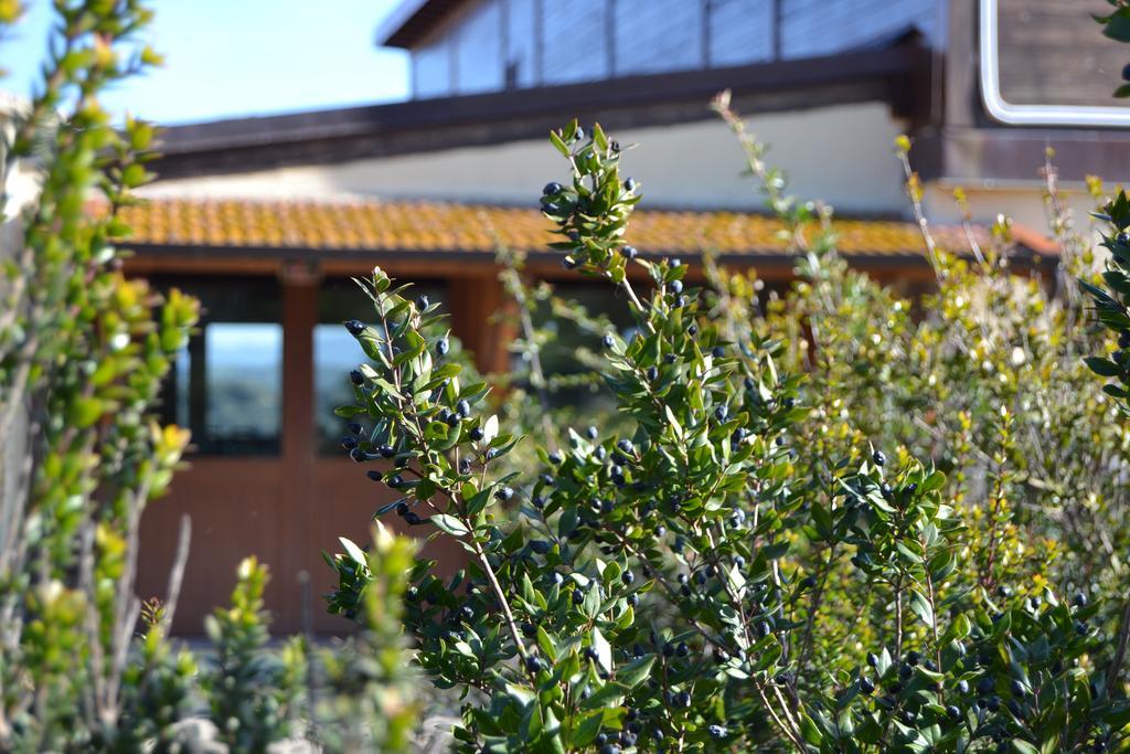 Agriturismo Sa Pigalva Tula Exterior photo