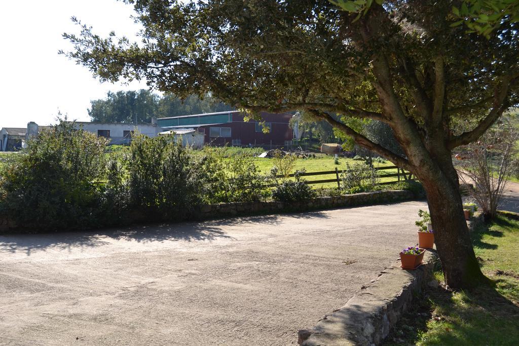 Agriturismo Sa Pigalva Tula Exterior photo