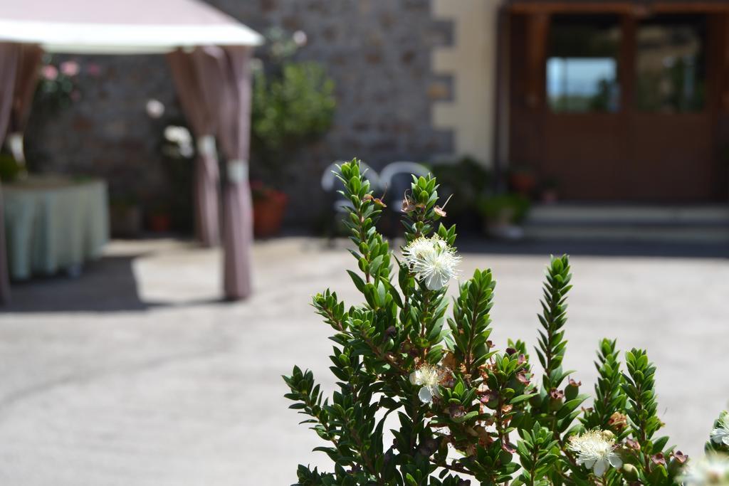 Agriturismo Sa Pigalva Tula Exterior photo
